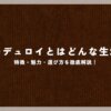 コーデュロイとはどんな生地？特徴・魅力・選び方を徹底解説！