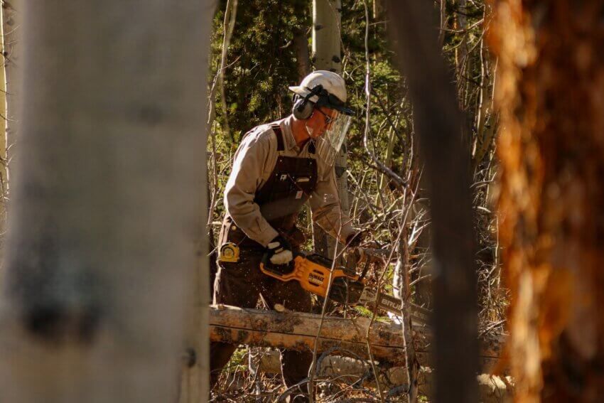 ワークウェアとしてのカーハート着用例